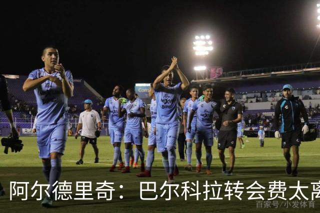 阿尔德里奇：巴尔科拉转会费太离谱，再过10年就有人5亿转会
